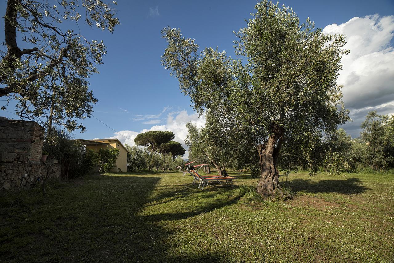 Agriturismo Greppo All'Olivo Villa Donoratico Exterior photo